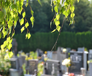 Burial Services